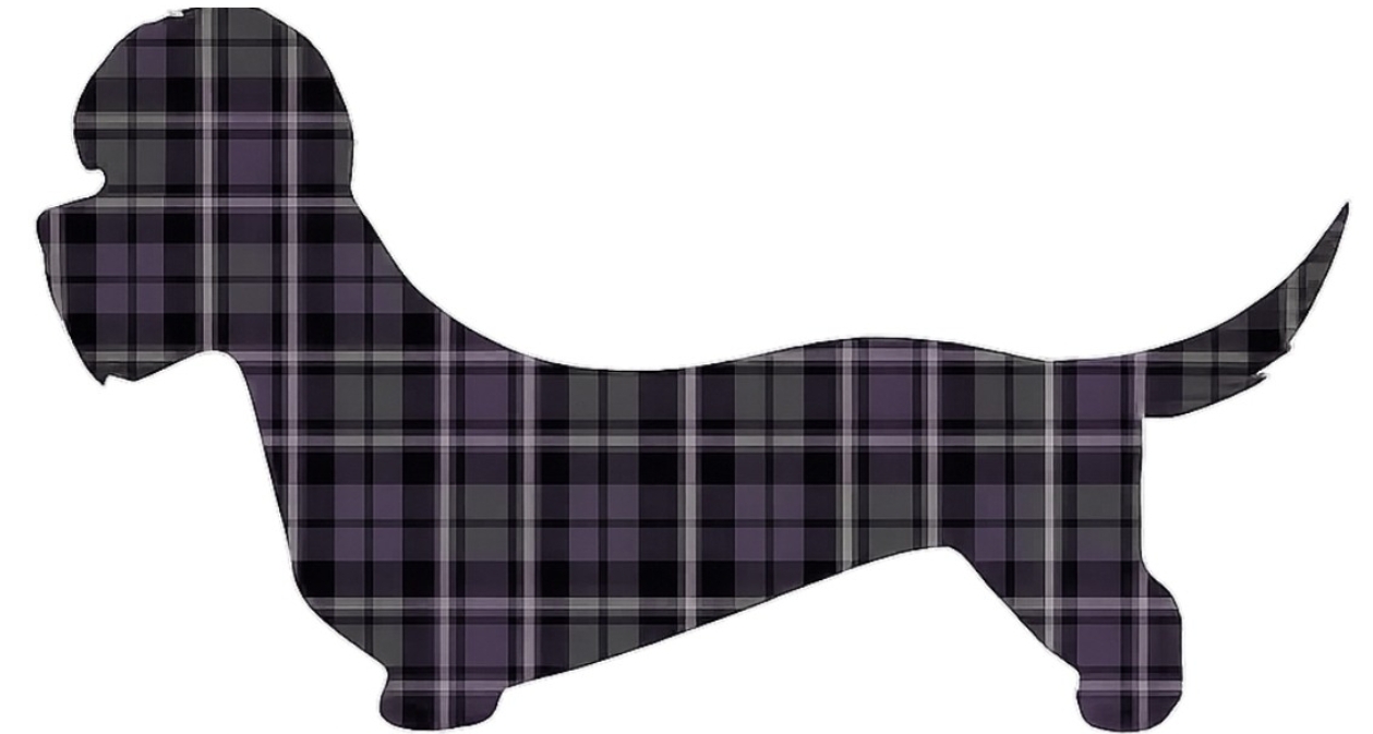 Caledonian Dandie Dinmont Terrier Club